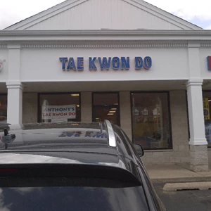 Channel Letters - Tae Kwon Do