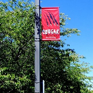 School Boulevard Banner Sign