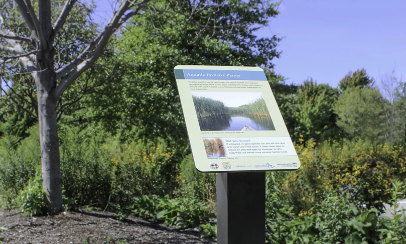 Interpretive Sign for Aquatic Plants in Nature Park