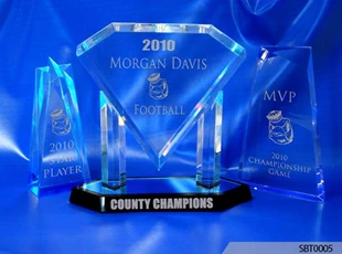 County Champ Acrylic Award