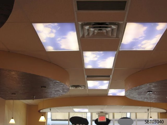 Ceiling Graphics in [city]