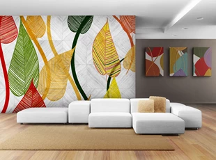 Wall Graphics and Art Canvases