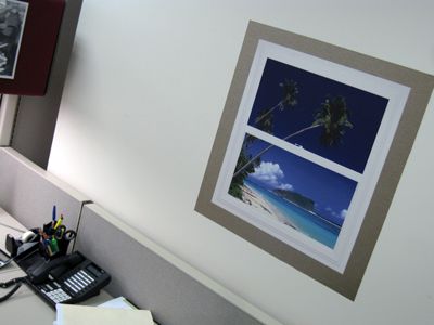 Temporary Wall Graphics from Signs By Tomorrow