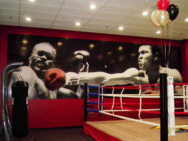 boxing ring wall graphics