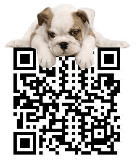 English Bulldog QR Code 