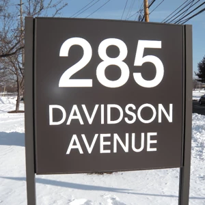 285 Davidson
