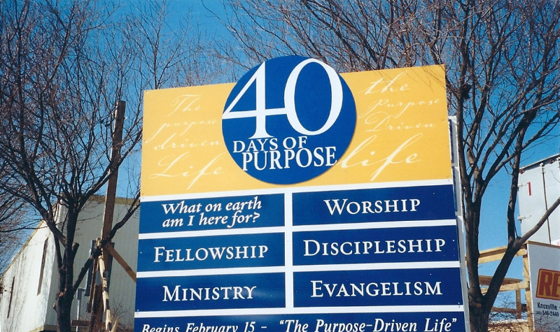 40 Days of Purpose Post & Panel