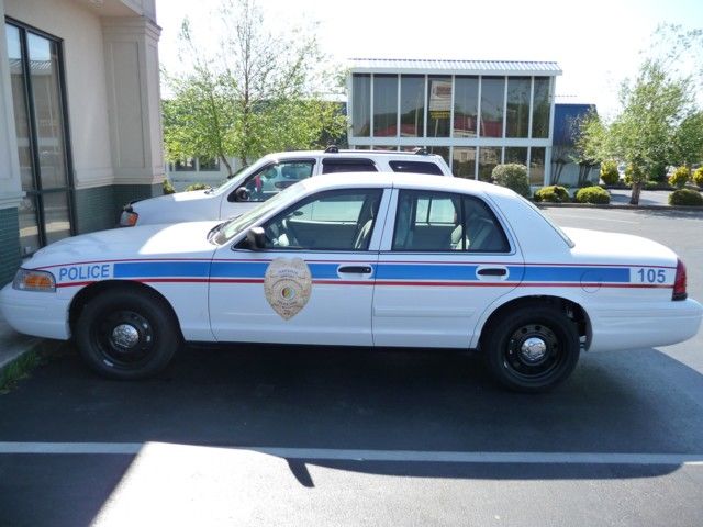 Police Car Graphics