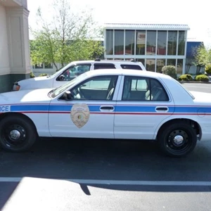 Police Car Graphics