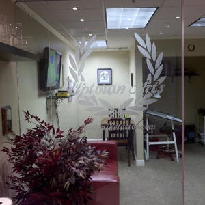 etched glass vinyl