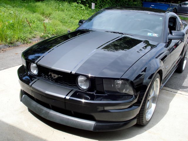 Custom Mustang Stripes