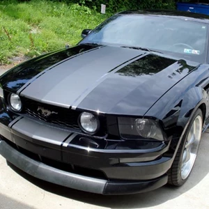 Custom Mustang Stripes