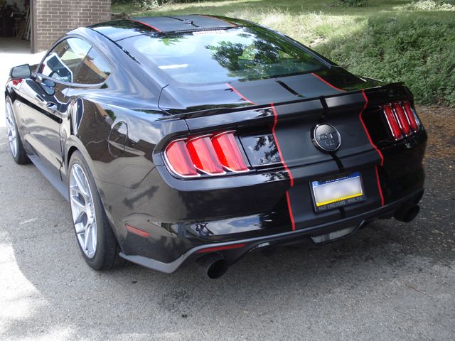 Custom Mustang Stripes