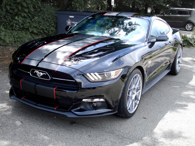 Custom Mustang Stripes