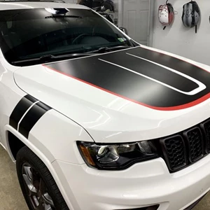 Vehicle Striping and Accents