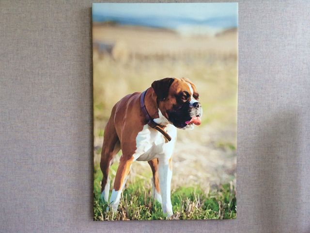 Canvas Prints & Gallery Wraps