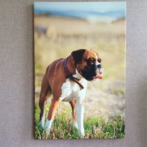 Custom printed to virtually any size on premium canvas media and wrapped around a sturdy 1.5
