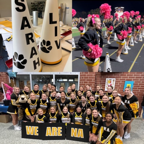 Custom Cheer Megaphone and Sign Decals