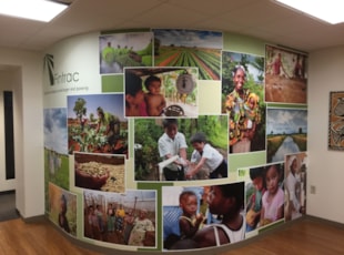 Fintrac Wall Graphics in Washington DC