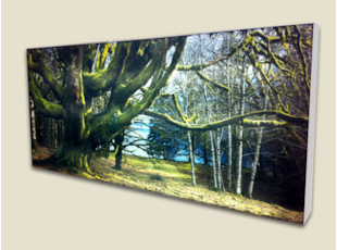 Fabric Print in Lightbox