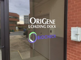 Exterior Vinyl Lettering and Logo for OriGene in Rockville, MD 