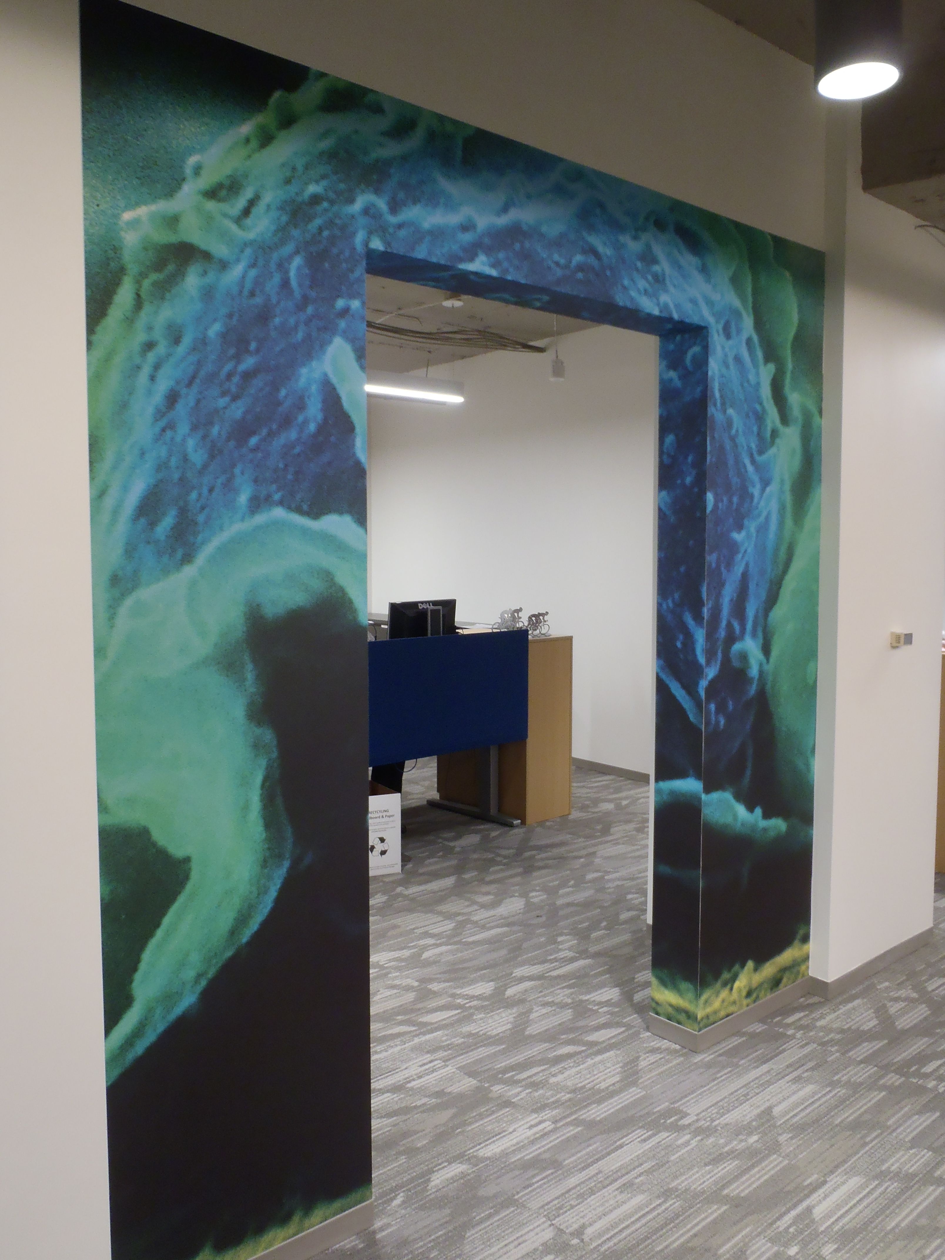 Environmental Wall Graphics