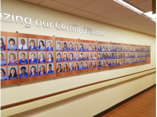 Dedication Wall for Certified Nurses at Adventist Hospital - Shady Grove
