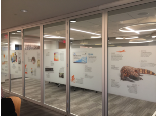 History Timeline for American Diabetes