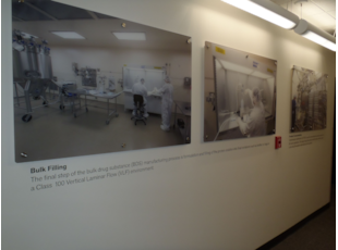 Informative Display Wall for GSK in Gaithersburg, MD 