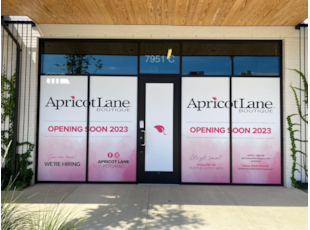 Window Graphics | Vinyl | Privacy Screen