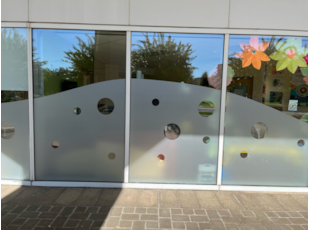 Window graphics etched design