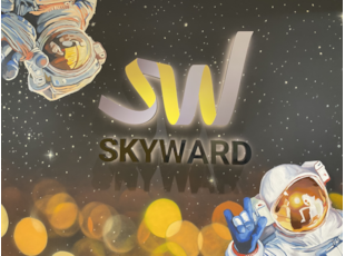 custom shape logo lightbox and backlit lettering installed on wall mural