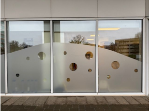 Window Decals and Graphics | Vinyl