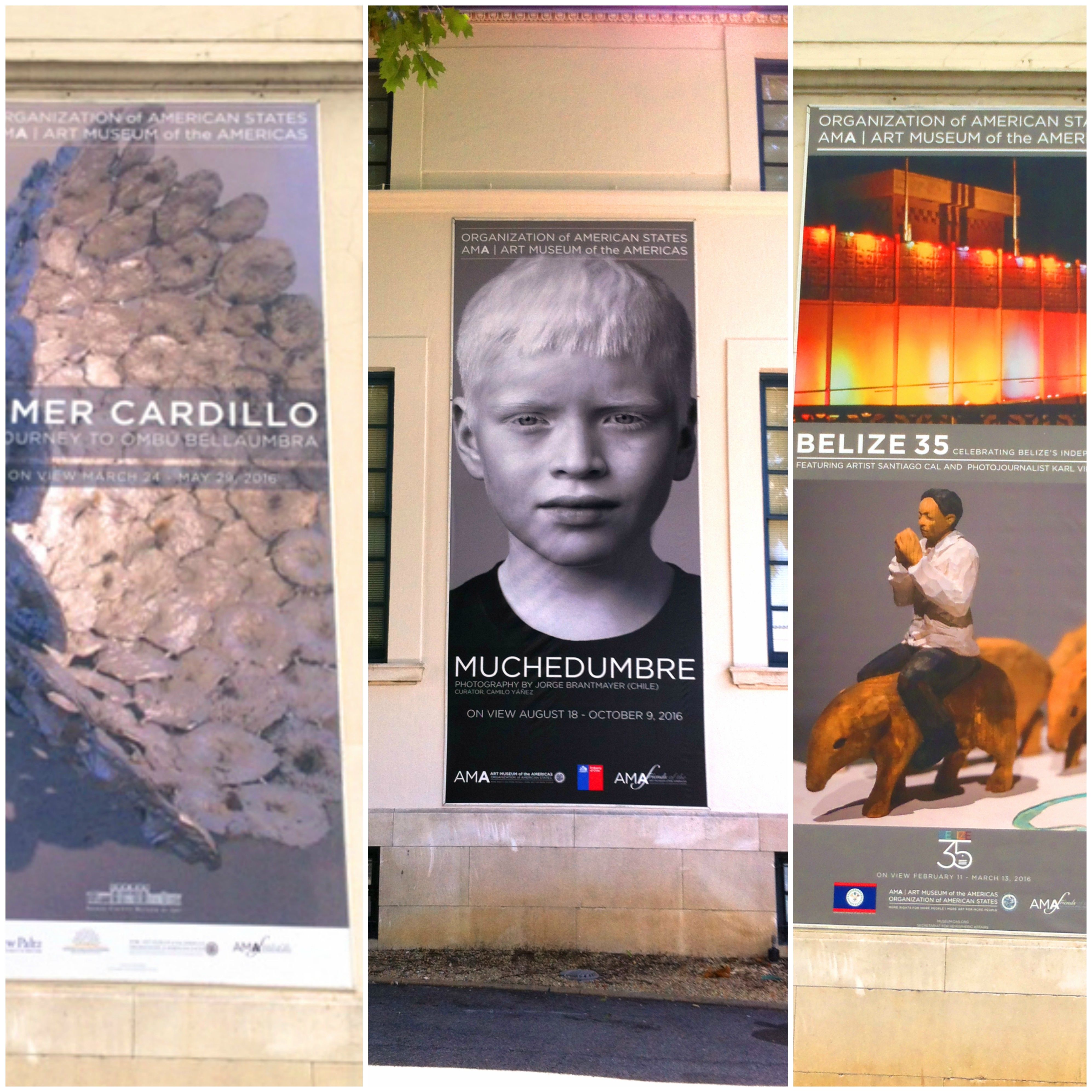 Signs by Tomorrow, Rockville, banner, ama, art museum of america, DC, Maryland