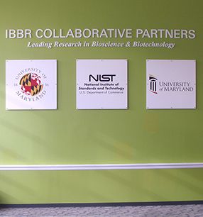 IBBR Collaborative Partners Wall Panels