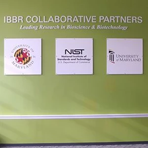 IBBR Collaborative Partners Wall Panels