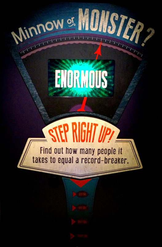 National Geographic MonsterFish Exhibit Signs