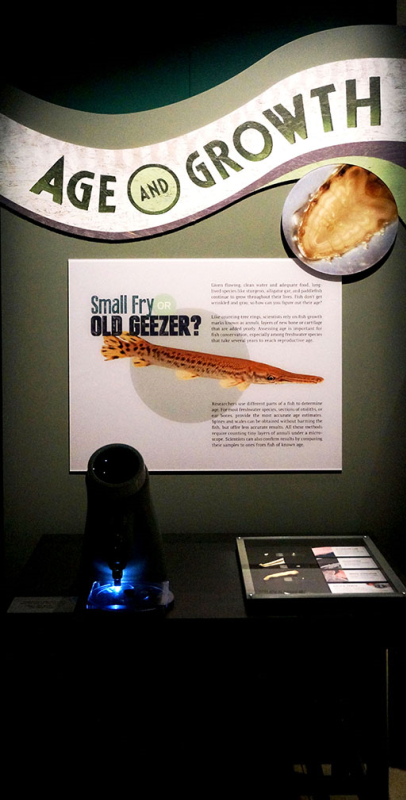 National Geographic MonsterFish Exhibit Signs