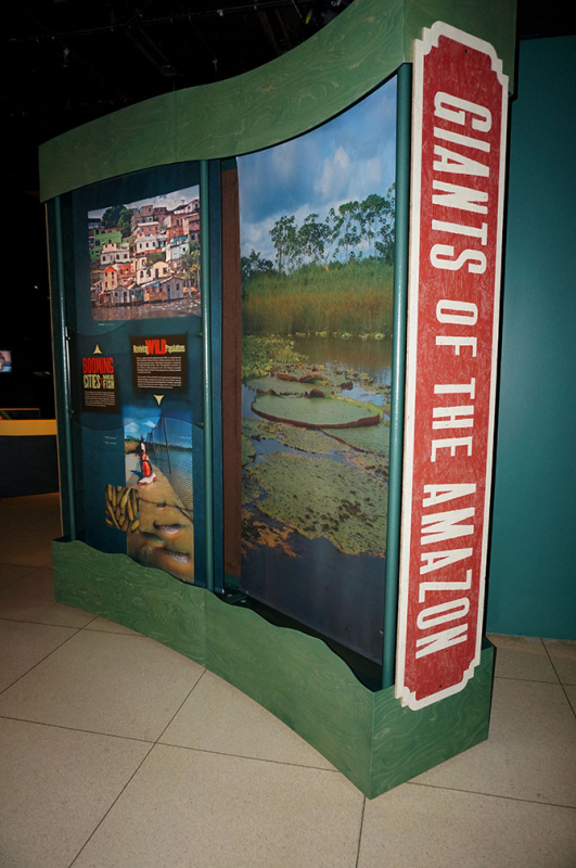 National Geographic MonsterFish Exhibit Signs