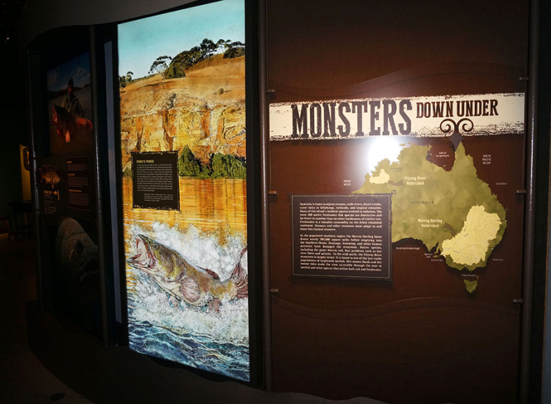 National Geographic MonsterFish Exhibit Signs