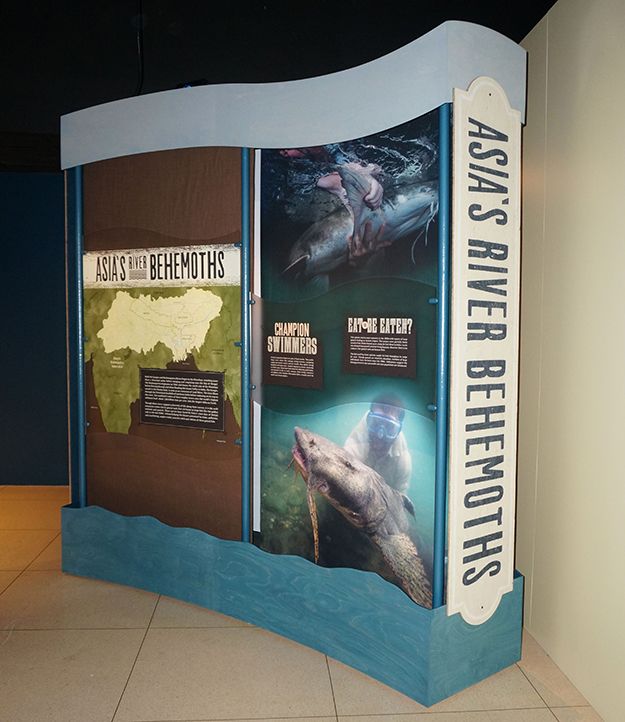 National Geographic MonsterFish Exhibit Signs - Signs By Tomorrow Rockville