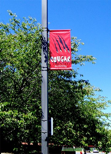 School Boulevard Banner Sign