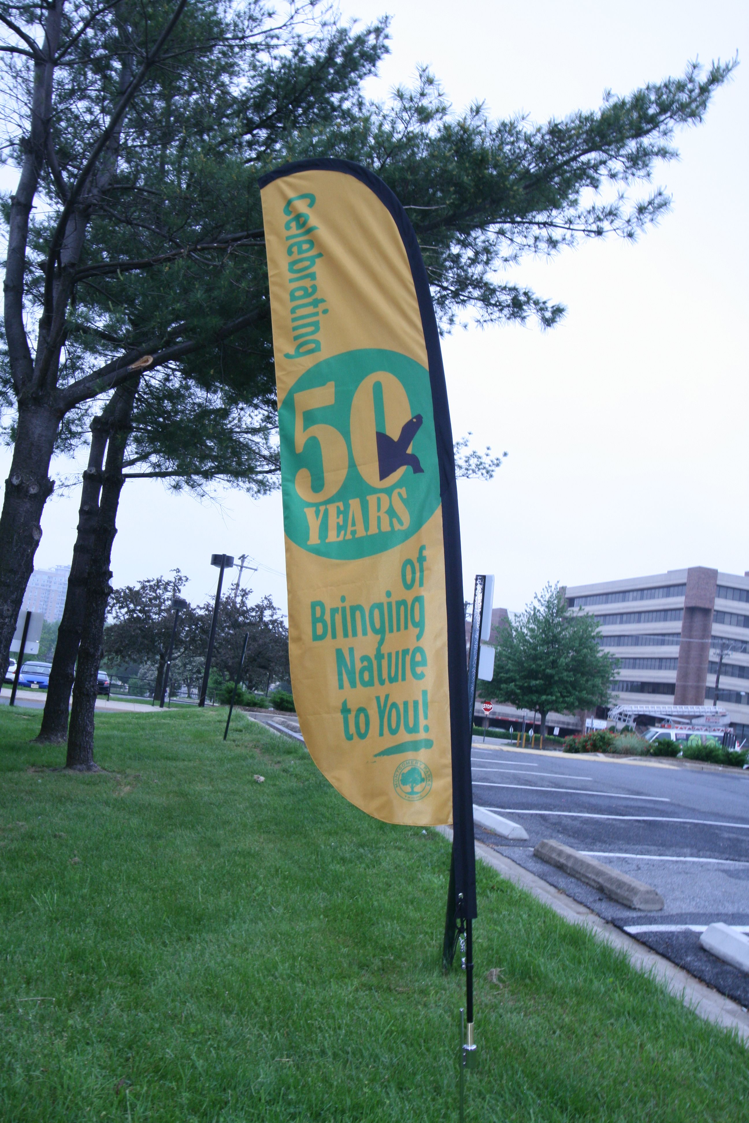 custom printed lawn sign feather flag