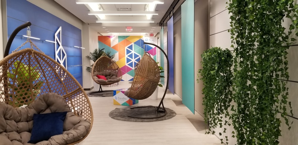 Wall Graphics & Murals