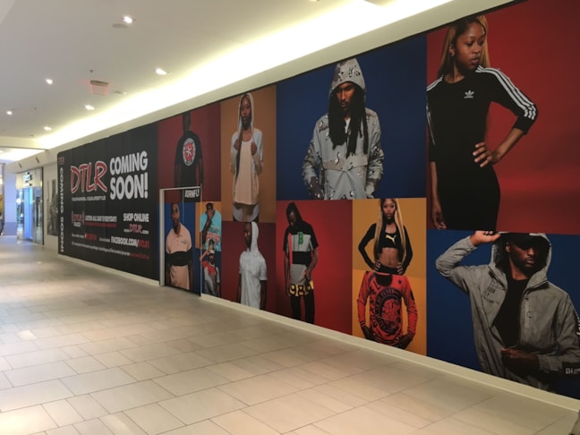 Wall Graphics & Murals