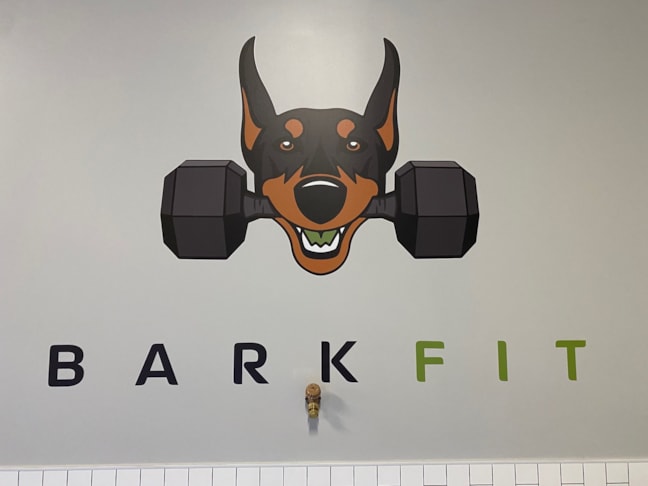 Wall Graphics & Murals