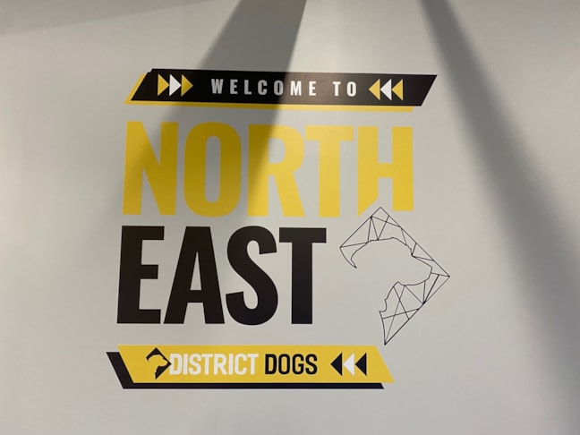 Wall Graphics & Murals