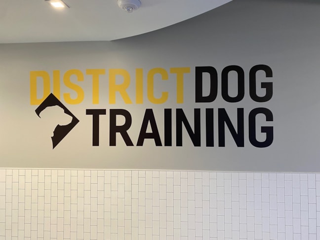 Wall Graphics & Murals