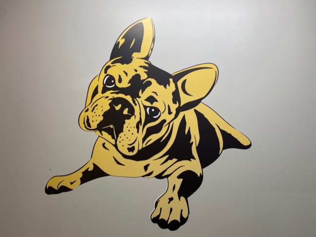 Wall Graphics & Murals