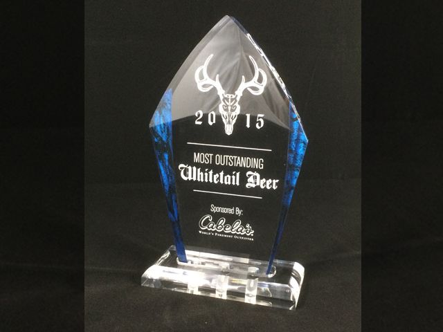 Peak Acrylic Award